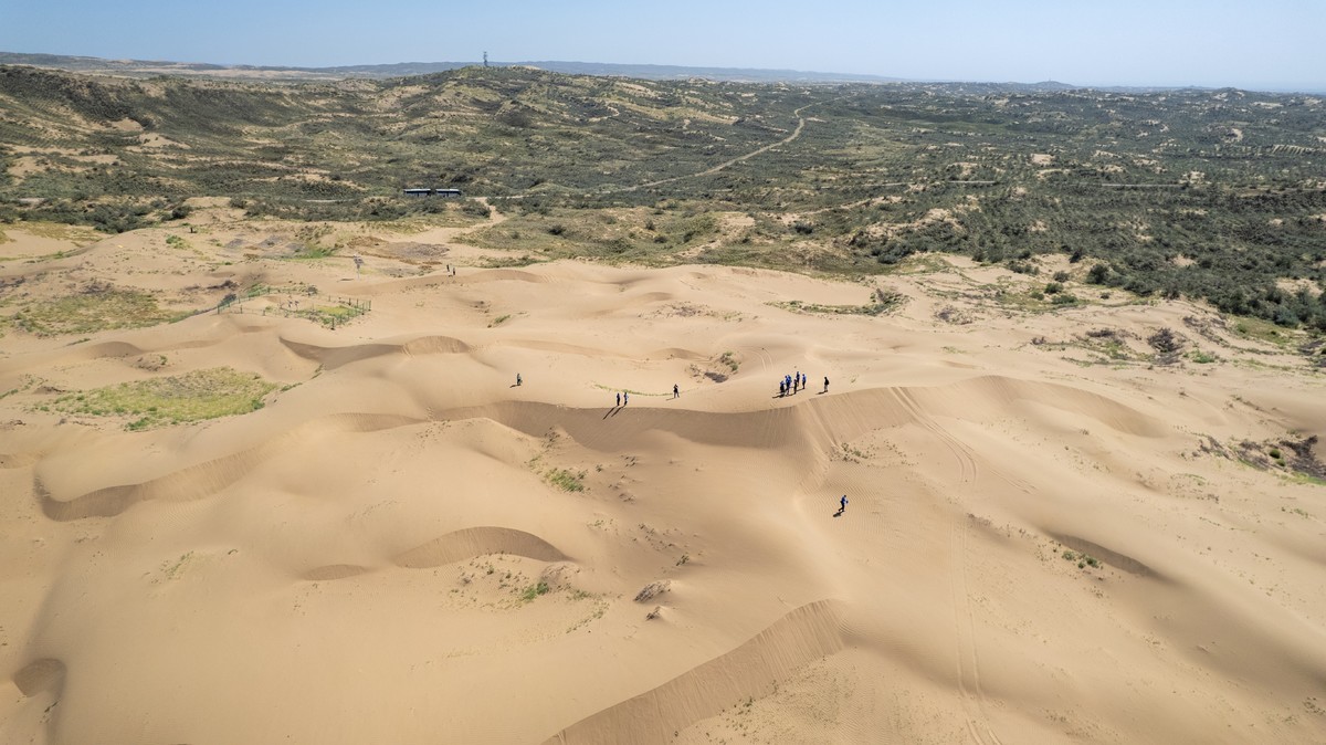 Section image